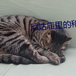 米乐M6·(中国)官方网站