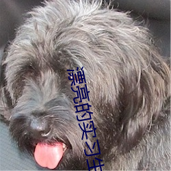 漂亮的实(實)习(習)生被大屌老外(外)同事灌醉在酒(酒)店