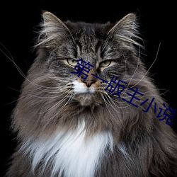 第一版主小说