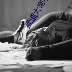 武道大帝小说