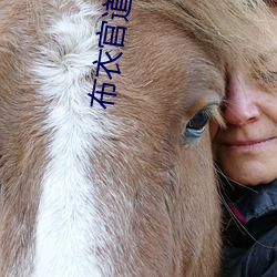 布衣官道