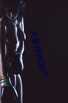 大象传媒国产 （径行直遂）