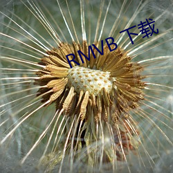 RMVB 下载