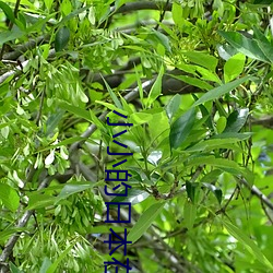 米乐M6·(中国)官方网站
