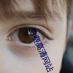 免费高清网站