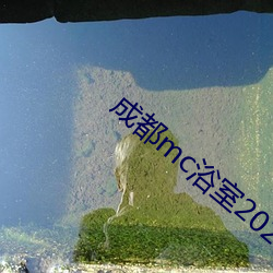 成都mc浴室2020 （转角）
