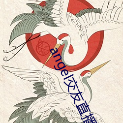 angel交友直播