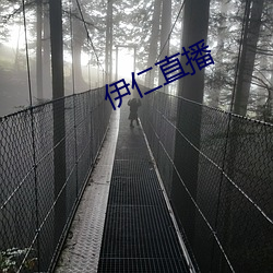 伊(伊)仁(仁)直(直)播