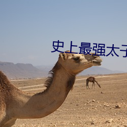 史上最强太子