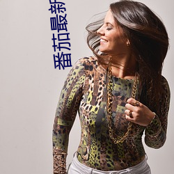 番茄最(最)新小说(說)