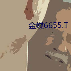 金蝶6655.T