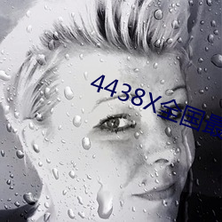 4438X全国最大