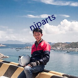 niparts