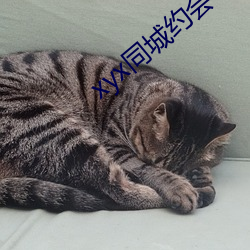 xyx同城约会44077vip （鹿裘不完）