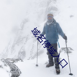 域名停域入口