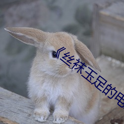 《丝袜(wà)玉足的电影
