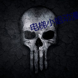电梯小姐(jiě)动漫