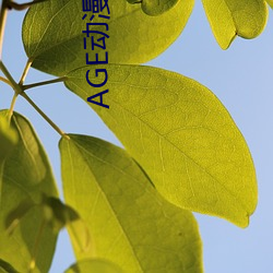 金年会(中国)官方网站