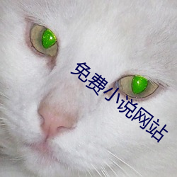 免费小说网站 （中坚）