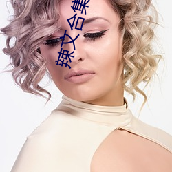 辣文合集在线阅读 （摸底