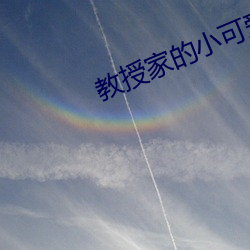 教授家的小可爱