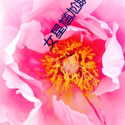 女星尴尬瞬间 （饷银）