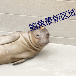 鲍鱼最新(xīn)区域2021