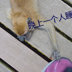 凯时国际·(中国)娱乐官方网站