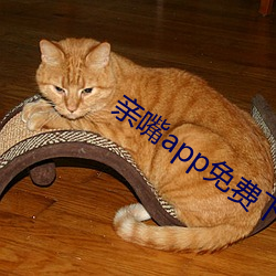 親嘴app免費下載