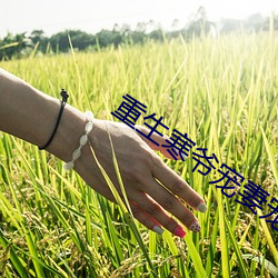 重生寒爷宠妻宠到底(dǐ)