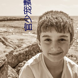 宫少宠(寵)妻太凶猛