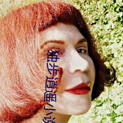 独步逍遥小说