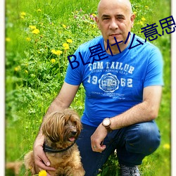 BL是什么意(yì)思