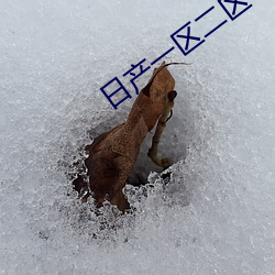 日産一區二區