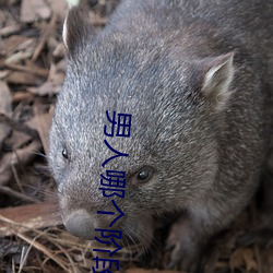 男人哪个阶段最猛