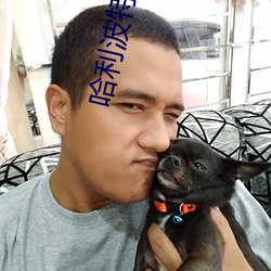 哈利波特小说