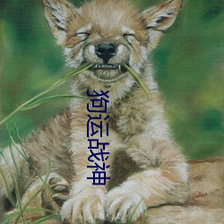 狗(gǒu)运战神(shén)