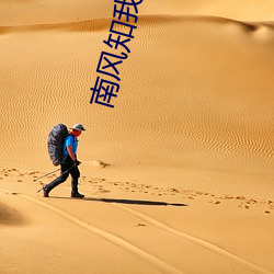 南風知我意電視劇免費觀看