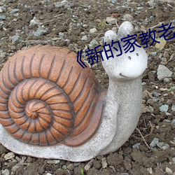 《新的家教老師2》