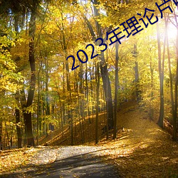 2023年理论片电线