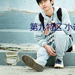 第九特區 小說