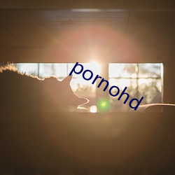 pornohd