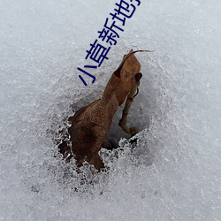 九游会登录j9入口 - 中国官方网站 | 真人游戏第一品牌