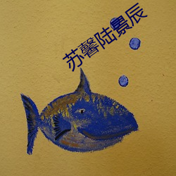 苏馨陆景辰