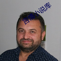 言情小说库