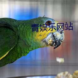 青娱乐网站(站)
