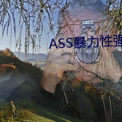 ASS暴力性强迫RAPE