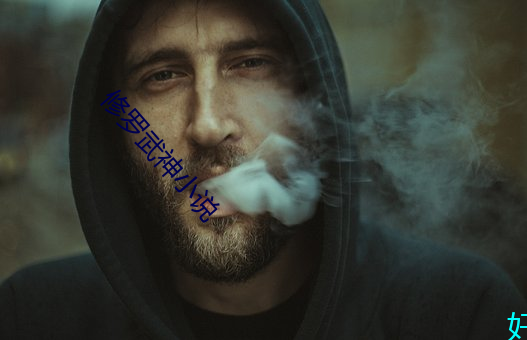 修罗武神小说