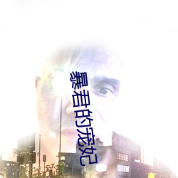 暴君的宠妃 （底墒）