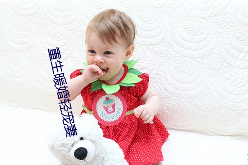 重生暖婚轻宠妻
